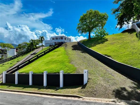 Mamey #189-40, Gurabo, PR 00778