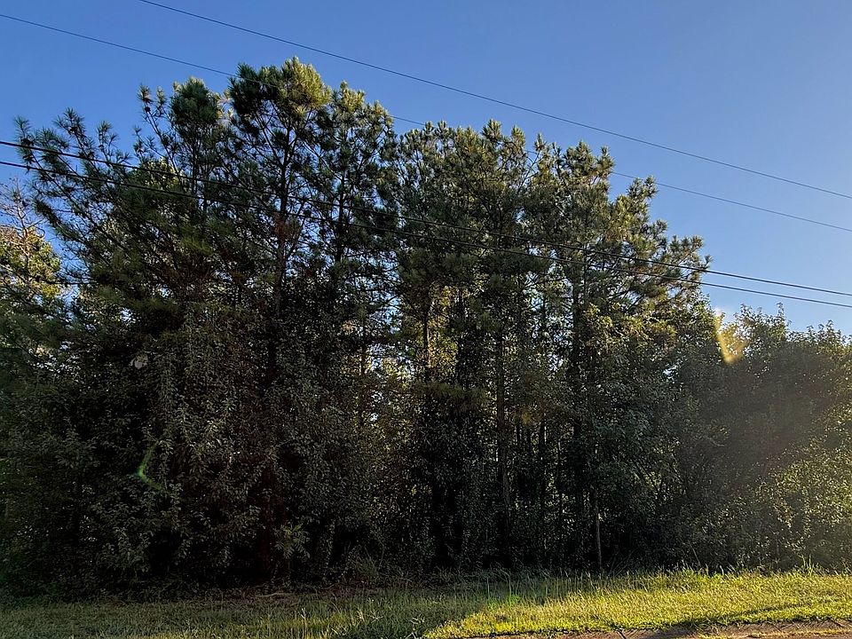 2nd image of 273 Christian Cir