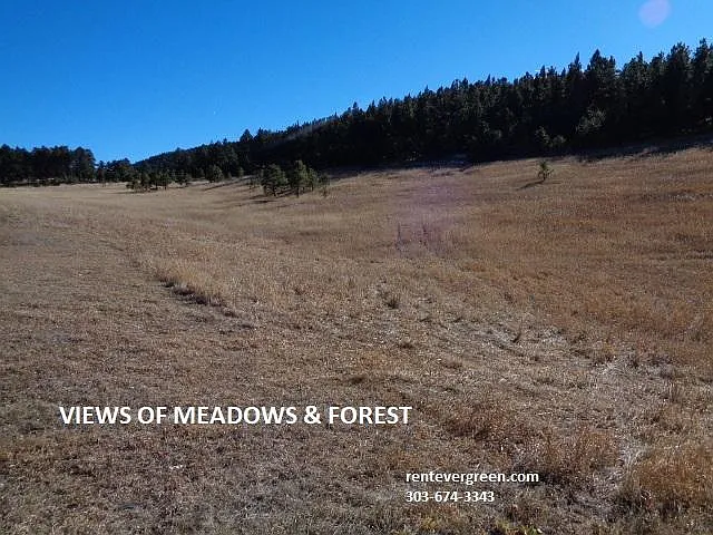 0 Upper Bear Creek Rd — Photo 22