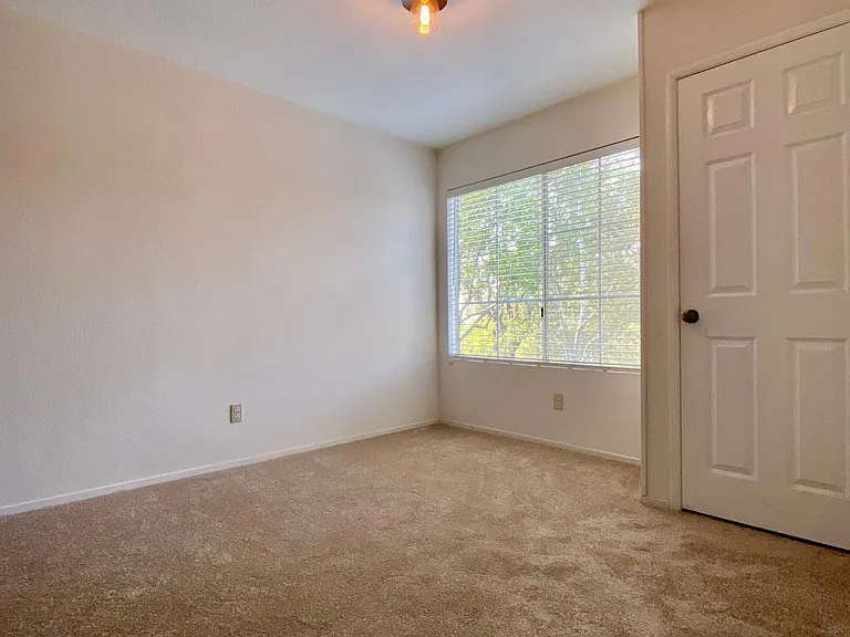 25538 Azalea — Photo 8