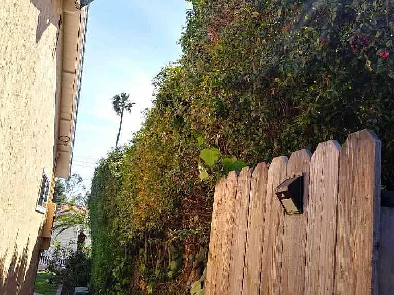 8622 Somerset Ave — Photo 8