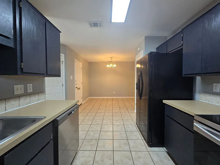 4207 Thunder Creek Dr — Photo 9