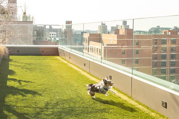 Rented by ACG Property Management LLC | media 38