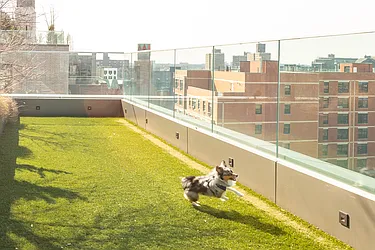 Rented by ACG Property Management LLC