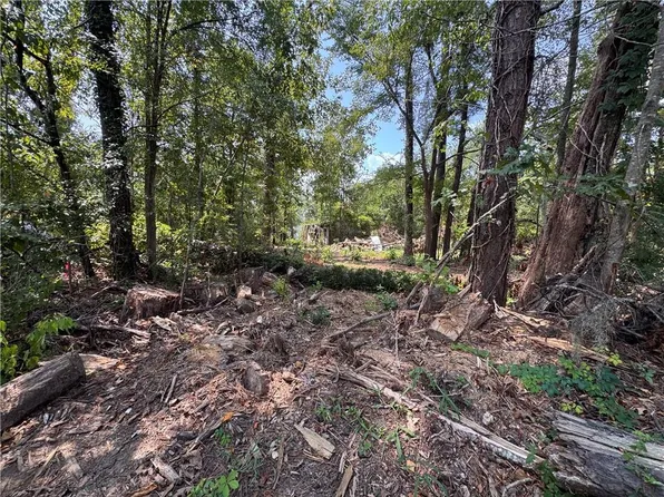 159 Hall Subdivision Rd Lot 66, Montgomery, LA 71454