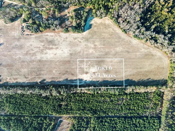 TRACT 6 Flinn Rd, Manning, SC 29102