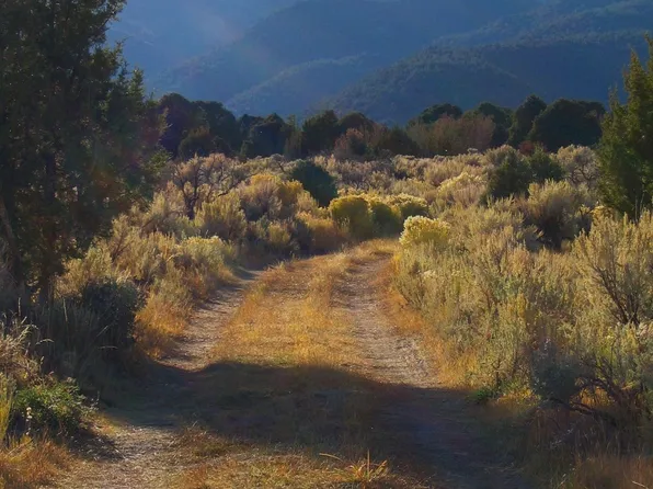 Faulkner Creek Rd, Eureka, NV 89316