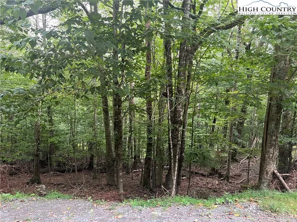 117 Lower Grouse Ridge Road, Beech Mountain, NC 28604