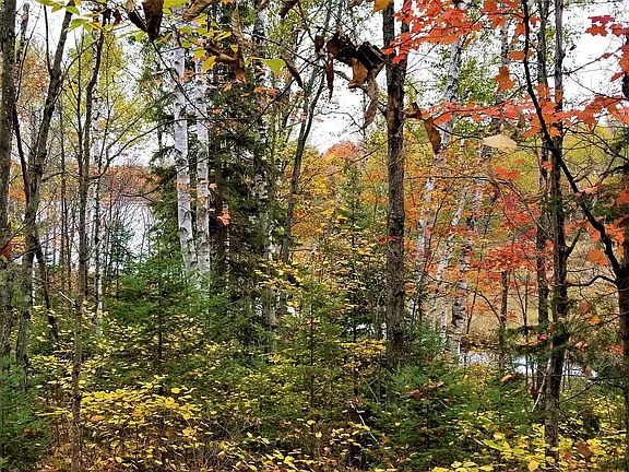 2nd image of Beaver Lodge Cir