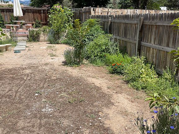 Backyard in summer, plenty of garden space and fruit trees.