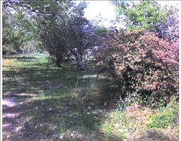 2nd image of 3452 Big Ridge Rd
