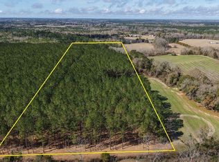 0 Grimes Rd Lot 1, Laurel Hill, FL 32567