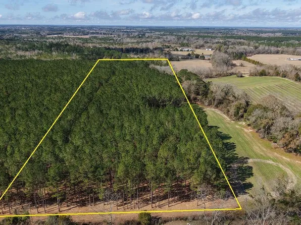 0 Grimes Rd Lot 1, Laurel Hill, FL 32567