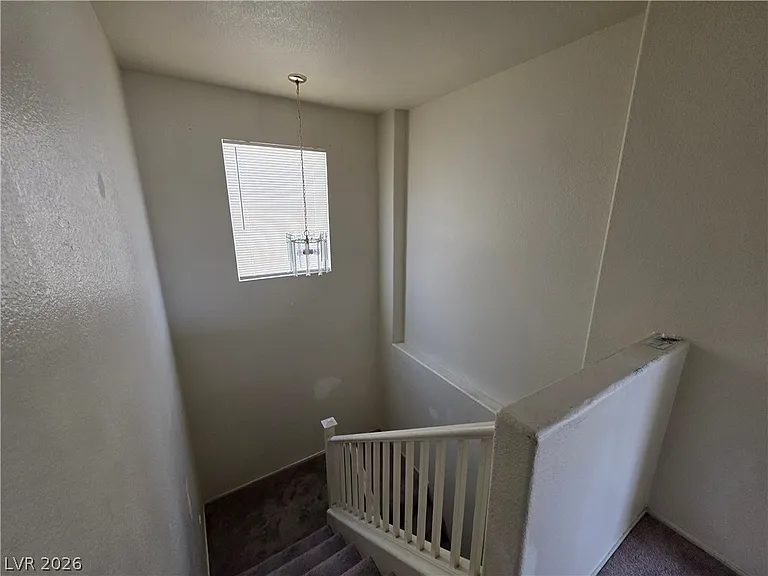 2506 Lady Elizabeth Ct — Photo 20
