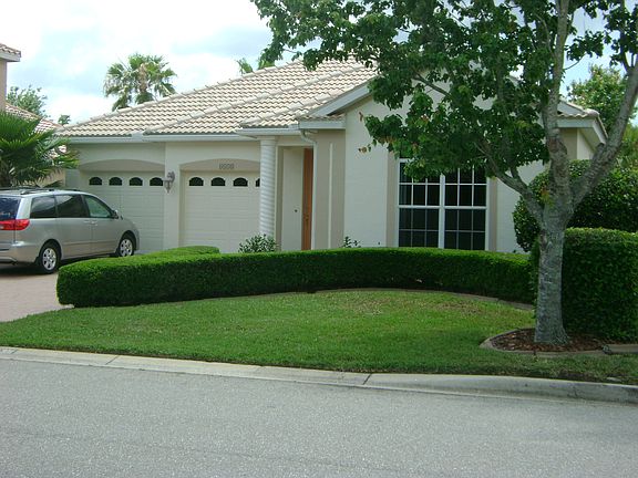 Mature trees