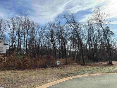 713 Madelina Pl, Greer, SC, 29651