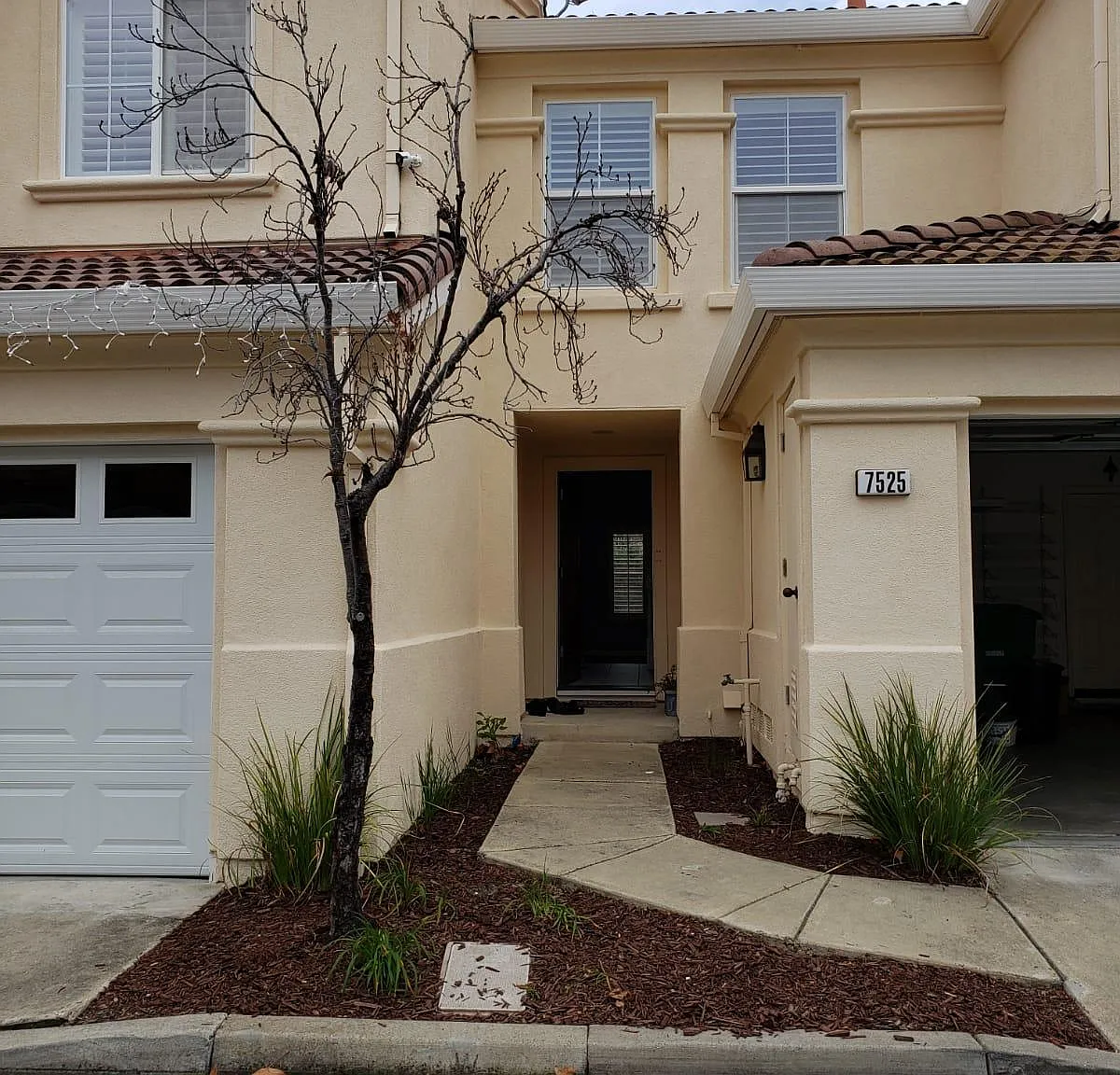 7525 Imperata Ln — Photo 3