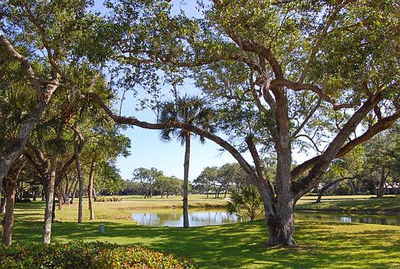 4th image of 350 Sabal Palm Ln