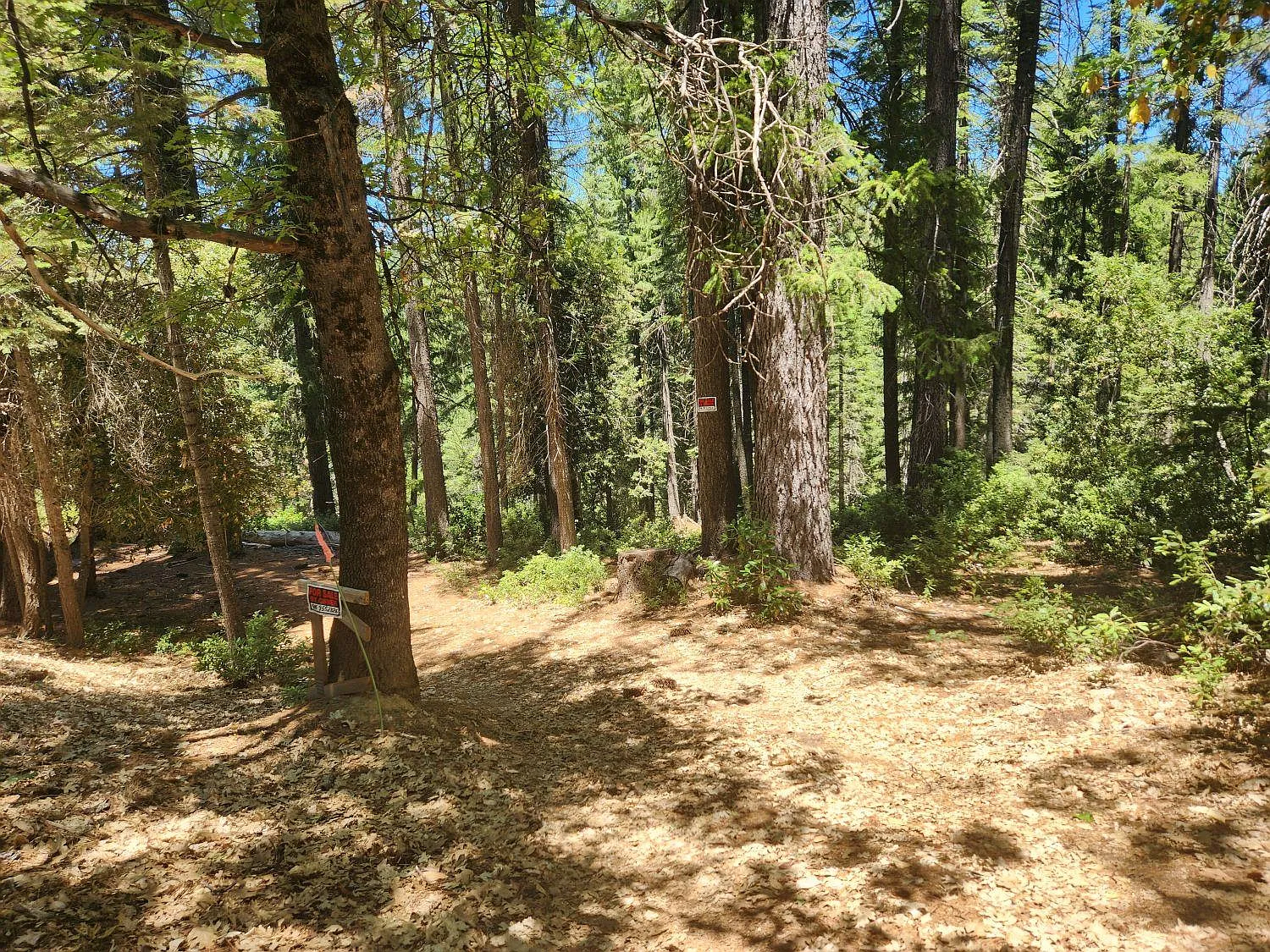 6296 Merry Way photo 1