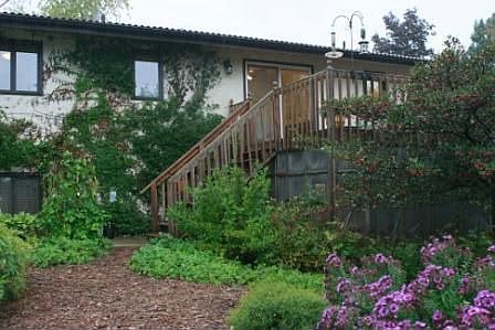 Gorgeous back of home