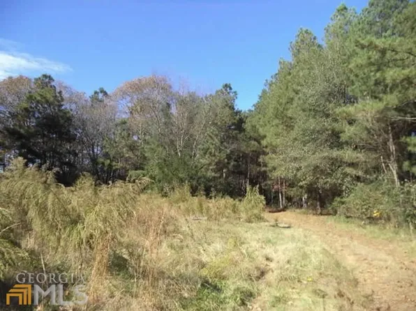 656 Omer Bond Rd, Royston, GA 30662