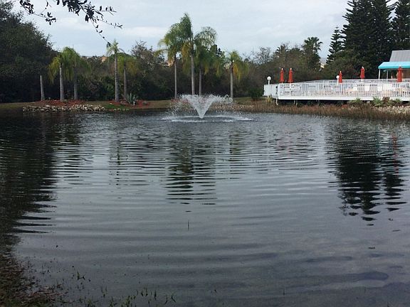 Pond by the pool