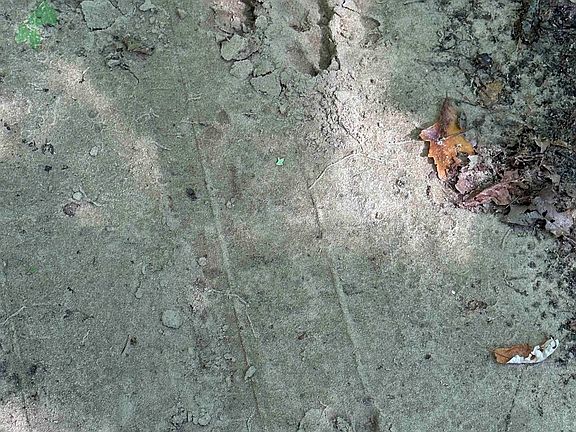 2nd image of 3724 S Fordney Rd