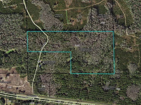 Fallow Rd, Lamont, FL 32336