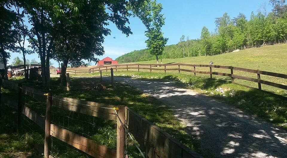 View coming up drive