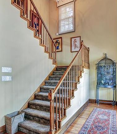 4th image of 4603 Bayshore Blvd