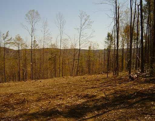 2nd image of 539 Tower Road