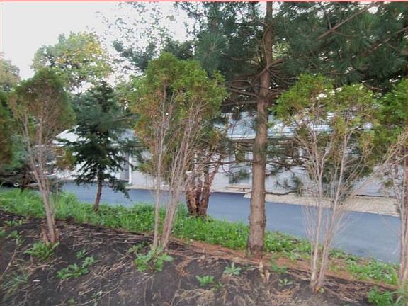 trees block home from st