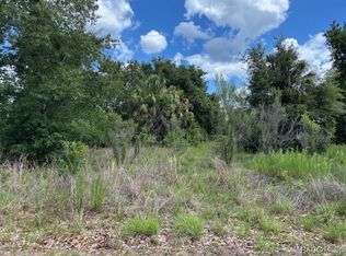 4279 E Texas St, Hernando, FL 34442