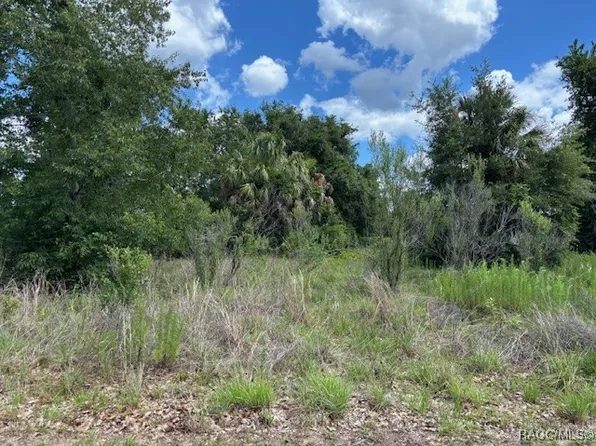 4279 E Texas St, Hernando, FL 34442
