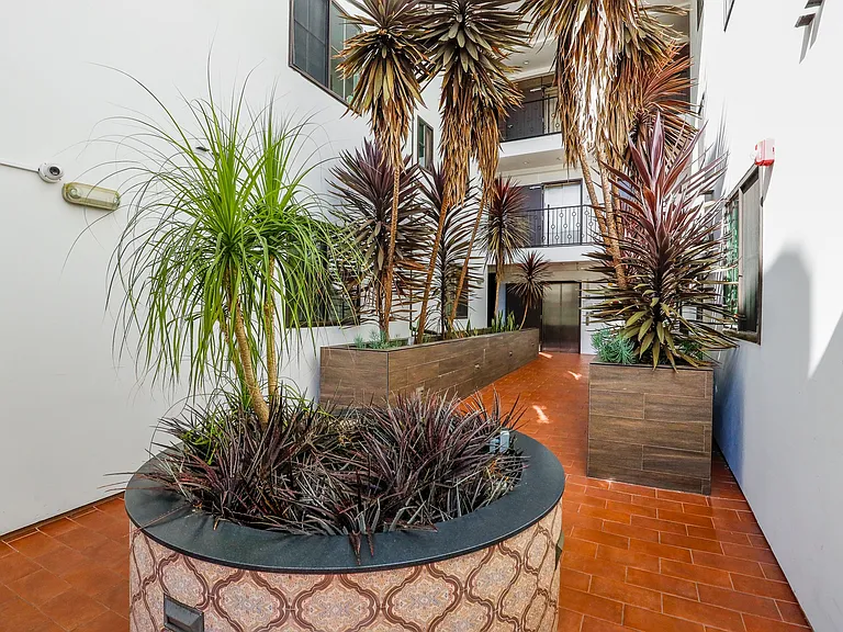 Plants in the Courtyard Area