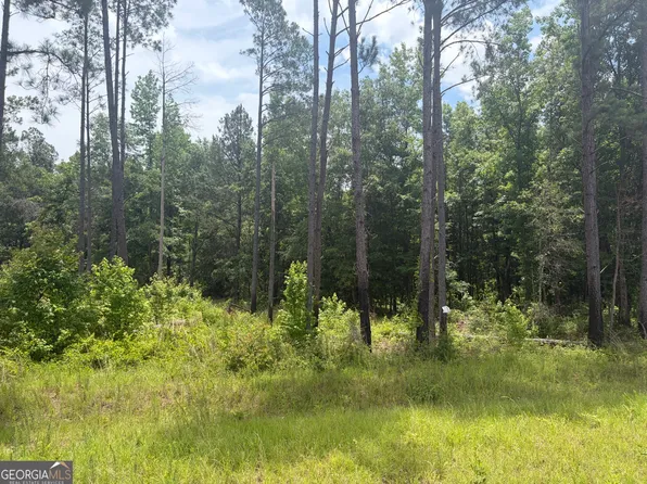 1 Sunhill Grange Rd, Sandersville, GA 31082
