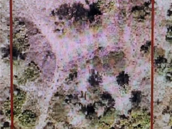 15141 NW 252nd St, Okeechobee, FL 34972