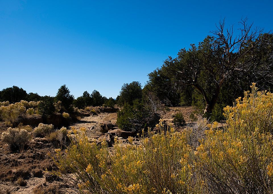 1st image of Ponderosa Dr #9
