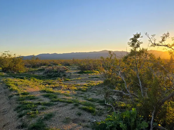 2455 S Lone Ranger Rd, Yucca, AZ 86438