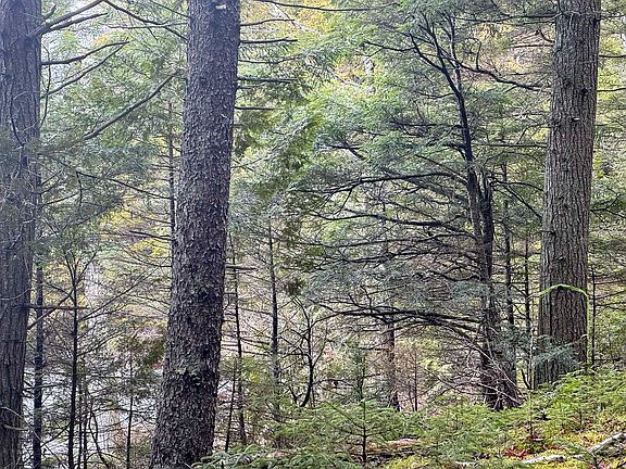 5th image of X Smith Cove Road