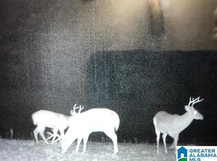 0 Lane Branch Rd #0, Wedowee, AL 36278