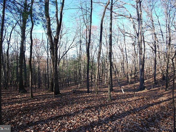 3rd image of 67 Mill Mountain Rd