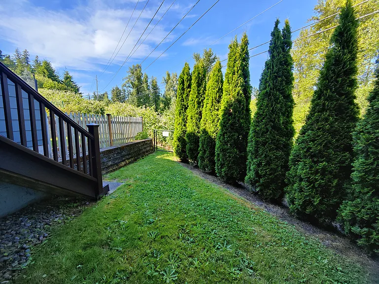 Tree lined fenced backyard with gate.