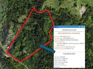 Km 4.6 Int Sr 912 Cerro Gordo, San Lorenzo, PR 00754