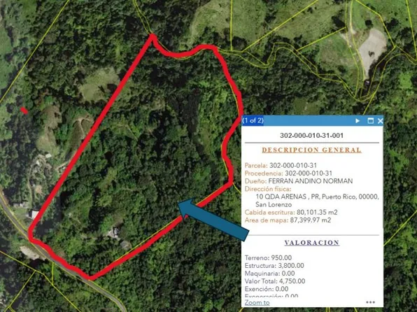 Km 4.6 Int Sr 912 Cerro Gordo, San Lorenzo, PR 00754