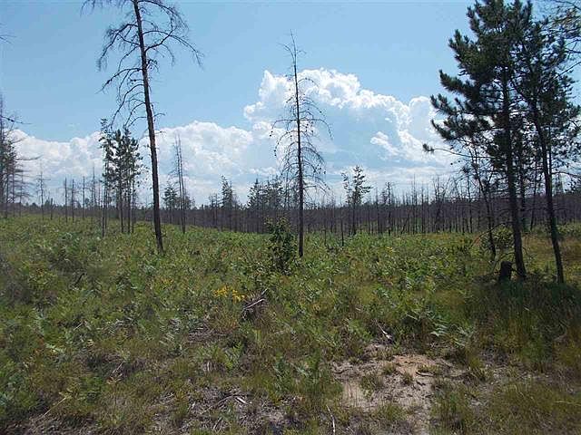 2nd image of 40 Acres County Road 500