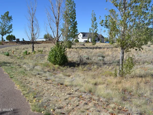 1350 S Meadow Way, Taylor, AZ 85939