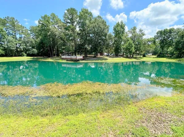 25920 Grand Pines Rd, Magnolia, TX 77355