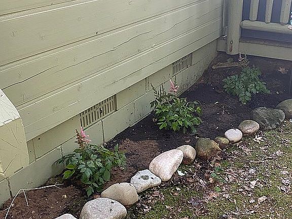 Perennials garden