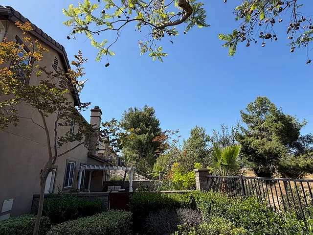 2297 Treetop Ln — Photo 34